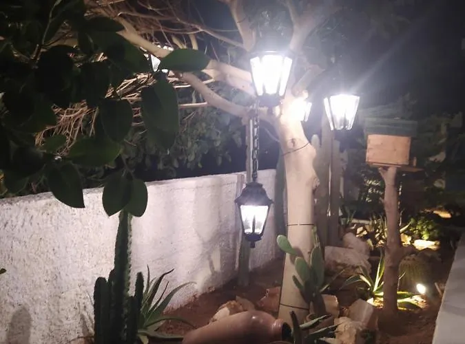 George's Point Of View * 纳乌萨