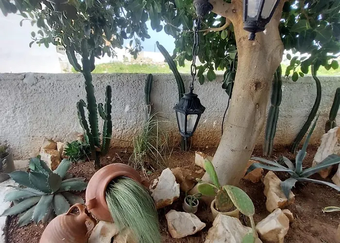 George's Point Of View *