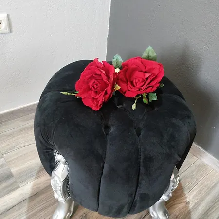 Apartment George's Point Of View